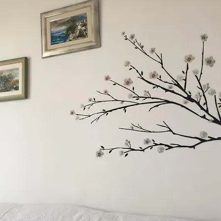 アパート Bol Apartment *